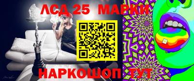гидропоника Новодвинск