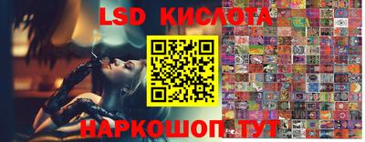 гидропоника Новодвинск