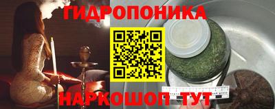 индика Новокубанск