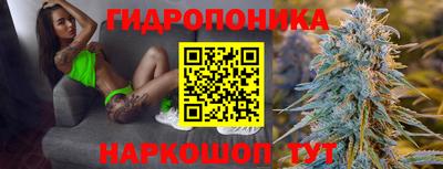 индика Новокубанск