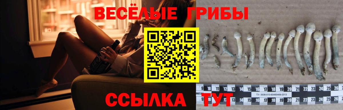 Псилоцибиновые грибы Magic Shrooms Боровичи