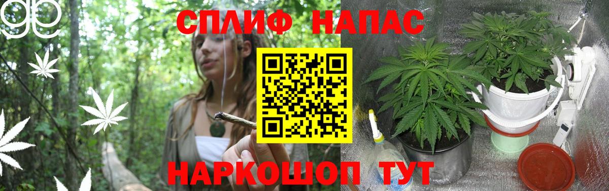 Шишки марихуана индика  Бошки Шишки MAZAR  Канабис индика  Боровичи  Вход с VPN 